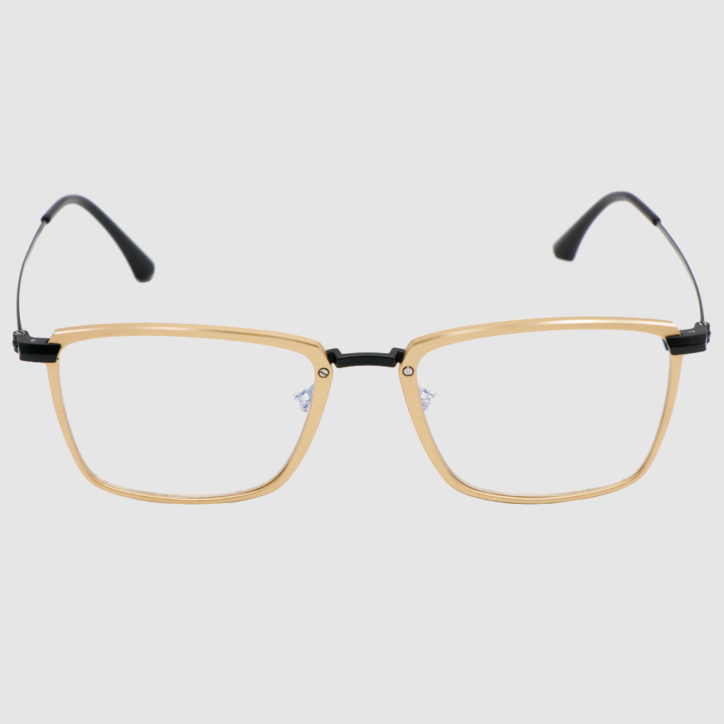 Metal Optical Glasses